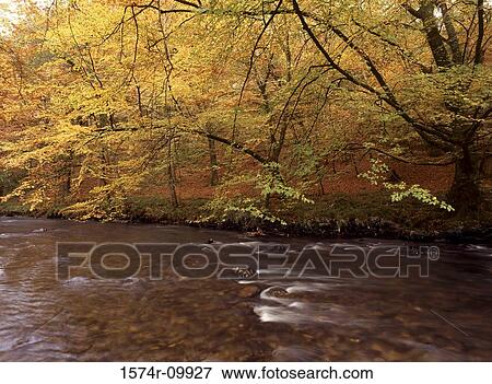 River Teign Dartmoor National Park England View Large Photo Image Stock Photo - River Teign Dartmoor National Park England. Fotosearch