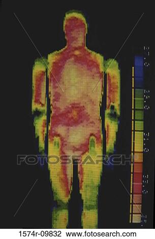 Stock Image - Scan of a human body. Fotosearch