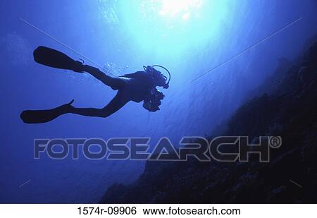 Scuba diver swimming underwater View Large Photo Image Stock Photograph - Scuba diver swimming underwater. Fotosearch