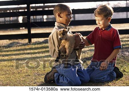 Side profile of a boy holding a kid goat in his arms with another boy kneeling beside him View Large Photo Image Stock Image - Side profile of a boy holding a kid goat in his arms with another boy kneeling beside him. Fotosearch
