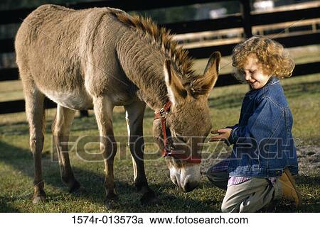 Side profile of a girl with a donkey View Large Photo Image Stock Image - Side profile of a girl with a donkey. Fotosearch
