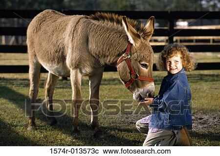 Side profile of a girl with a donkey View Large Photo Image Stock Image - Side profile of a girl with a donkey. Fotosearch