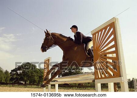 Side profile of a jockey on a horse jumping over a hurdle View Large Photo Image Stock Image - Side profile of a jockey on a horse jumping over a hurdle. Fotosearch