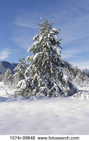 Sun Valley Idaho USA View Large Photo Image Stock Photo - Sun Valley Idaho USA. Fotosearch