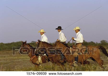 Stock Photo - Three cowboys riding horses. Fotosearch