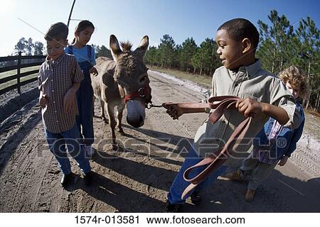 Two boys and two girls walking with a donkey View Large Photo Image Stock Image - Two boys and two girls walking with a donkey. Fotosearch