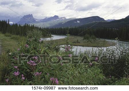 Stock Photo - Vermillion Lake Banff National Park Alberta Canada. Fotosearch