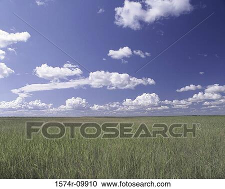 Zhalong Nature Reserve Heilongjiang Province China View Large Photo Image Stock Image - Zhalong Nature Reserve Heilongjiang Province China. Fotosearch