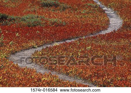 Alpine Lakes Wilderness Washington USA View Large Photo Image Picture - Alpine Lakes Wilderness Washington USA. Fotosearch