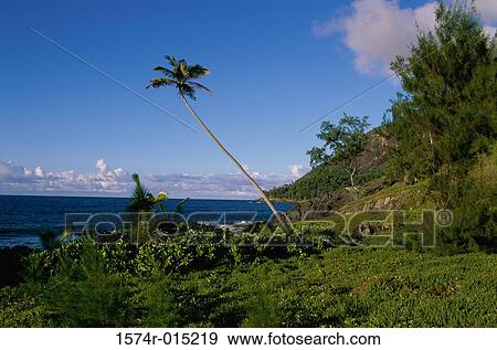 Anse Cimitiere Silhouette Island Seychelles View Large Photo Image Stock Photo - Anse Cimitiere Silhouette Island Seychelles. Fotosearch