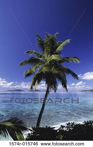 Anse Patates La Digue Seychelles View Large Photo Image Stock Photograph - Anse Patates La Digue Seychelles. Fotosearch