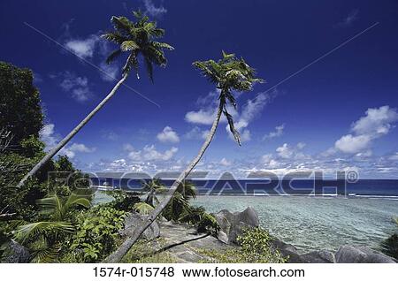 Anse Pierrot La Digue Seychelles View Large Photo Image Stock Photo - Anse Pierrot La Digue Seychelles. Fotosearch