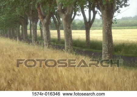 Aurillac France View Large Photo Image Stock Photograph - Aurillac France. Fotosearch