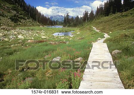 Stock Image - Bagley Lakes Trail Mount Baker Wilderness Washington USA. Fotosearch