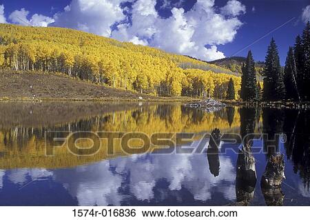 Stock Photograph - Beaver Pond Colorado USA. Fotosearch