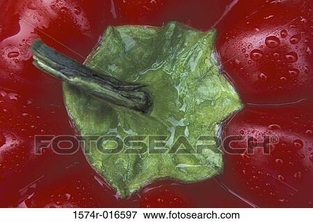 Stock Photo - Bell Pepper. Fotosearch