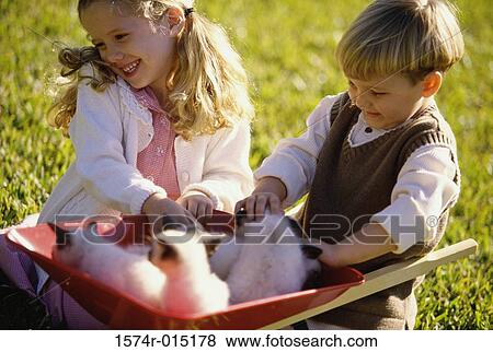 Boy and girl playing with kittens in a wheelbarrow View Large Photo Image Stock Photo - Boy and girl playing with kittens in a wheelbarrow. Fotosearch