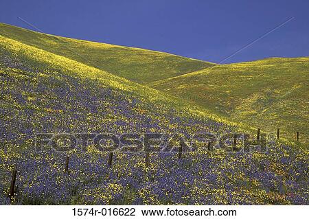 California USA View Large Photo Image Stock Image - California USA. Fotosearch