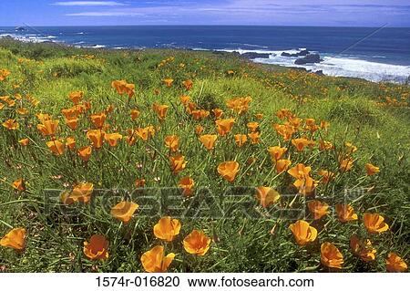 California USA View Large Photo Image Stock Image - California USA. Fotosearch