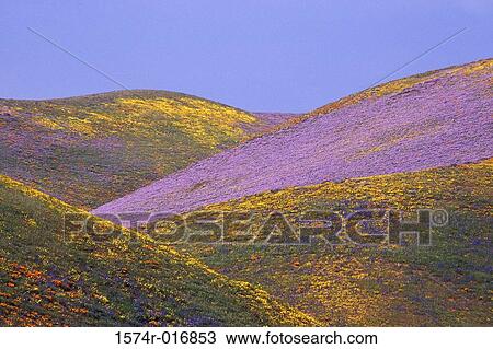 California USA View Large Photo Image Stock Image - California USA. Fotosearch