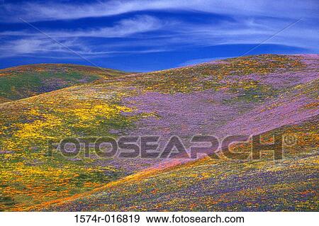 Stock Photo - California USA. Fotosearch