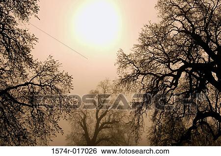 California USA View Large Photo Image Stock Photograph - California USA. Fotosearch