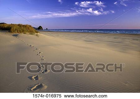 Cannon Beach Oregon USA View Large Photo Image Stock Photography - Cannon Beach Oregon USA. Fotosearch