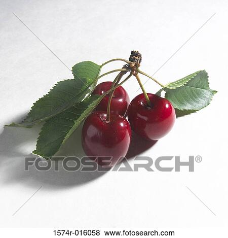 Cherries View Large Photo Image Stock Photo - Cherries. Fotosearch