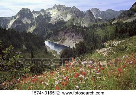 Stock Image - Cliff Lake Mount Rainier National Park Washington USA. Fotosearch