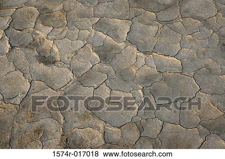 Close-up of a dry field View Large Photo Image Stock Photo - Close-up of a dry field. Fotosearch