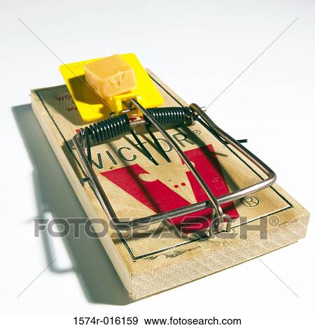 Close-up of a mousetrap View Large Photo Image Stock Photo - Close-up of a mousetrap. Fotosearch