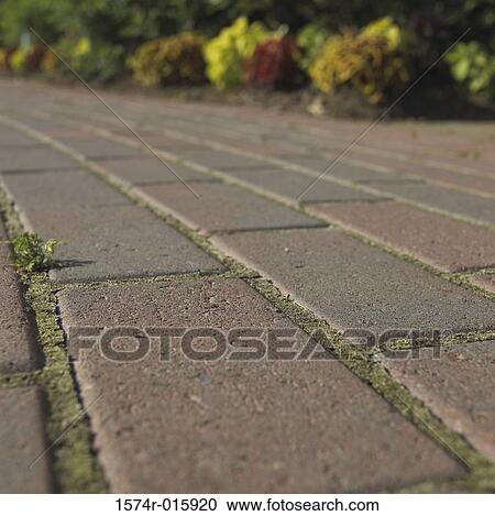 Close-up of a sidewalk View Large Photo Image Stock Image - Close-up of a sidewalk. Fotosearch