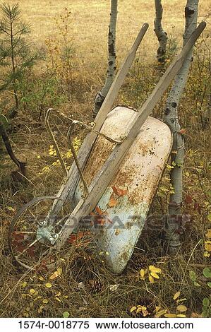 Close-up of a wheelbarrow in a garden View Large Photo Image Stock Photography - Close-up of a wheelbarrow in a garden. Fotosearch