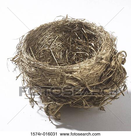 Close-up of an empty bird's nest View Large Photo Image Stock Image - Close-up of an empty bird's nest. Fotosearch