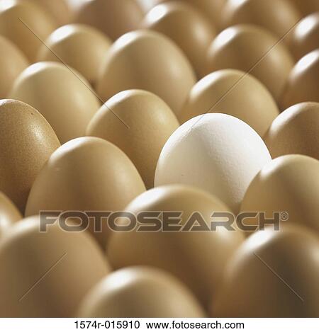 Close-up of eggs View Large Photo Image Stock Image - Close-up of eggs. Fotosearch