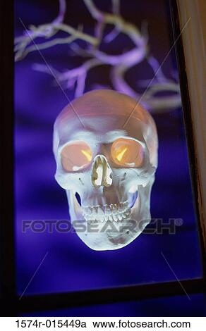 Close-up of human skull View Large Photo Image Stock Image - Close-up of human skull. Fotosearch