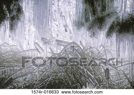 Close-up of icicles View Large Photo Image Stock Image - Close-up of icicles. Fotosearch