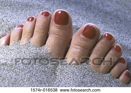 Close-up of person's toes sticking out of the sand View Large Photo Image Stock Photo - Close-up of person's toes sticking out of the sand. Fotosearch