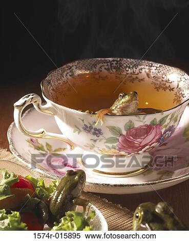 Stock Photography - Close-up of three frogs in dishes. Fotosearch