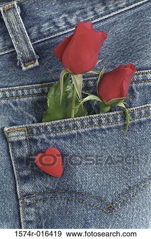 Stock Photo - Close-up of two roses in a pocket. Fotosearch