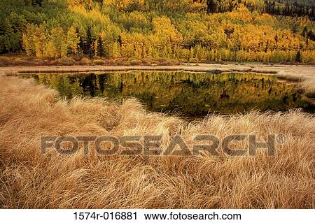 Stock Image - Colorado USA. Fotosearch