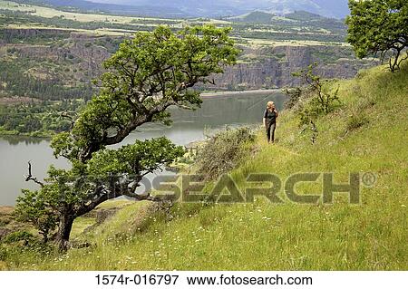 Columbia River Washington USA View Large Photo Image Stock Photo - Columbia River Washington USA. Fotosearch