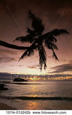 Stock Image - Cousine Island Seychelles. Fotosearch