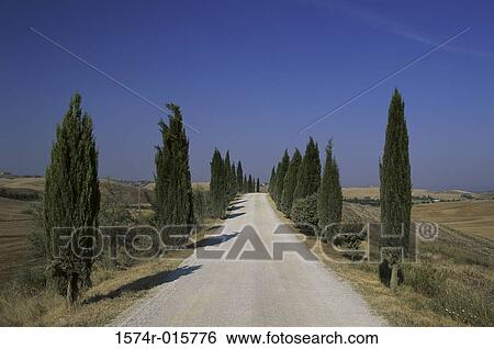 Stock Photograph - Crete Senesi Italy. Fotosearch