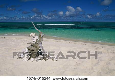 Denis Island Seychelles View Large Photo Image Picture - Denis Island Seychelles. Fotosearch