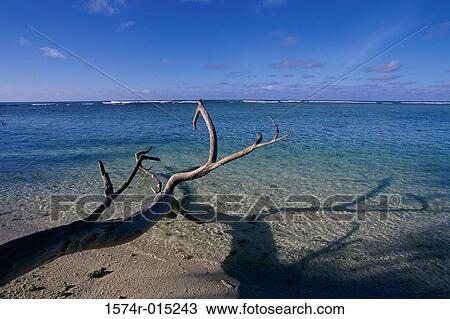 Denis Island Seychelles View Large Photo Image Stock Image - Denis Island Seychelles. Fotosearch