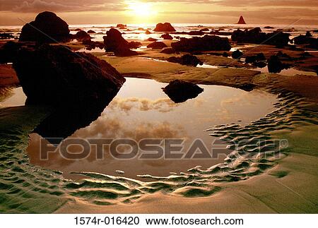 Duk Point Olympic National Park Washington USA View Large Photo Image Stock Image - Duk Point Olympic National Park Washington USA. Fotosearch