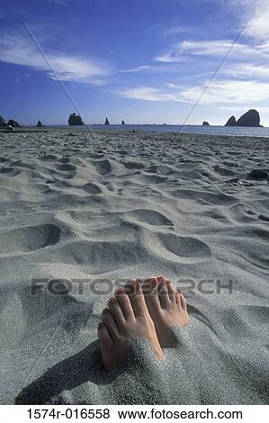 Stock Photo - Feet of a woman buried in sand on a beach. Fotosearch
