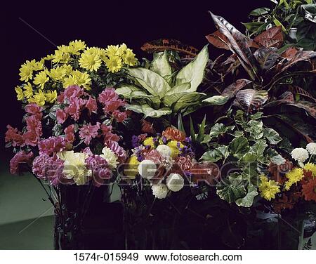 Stock Photo - Flower arrangement. Fotosearch