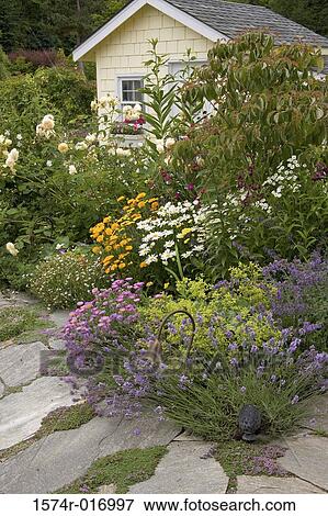 Stock Photo - Flowers in front of a house. Fotosearch